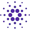Pelkruvilanz plataforma cripto